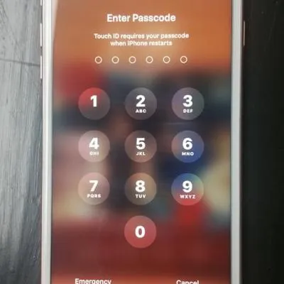 40664571 1961933540529689 8521121497861849088 N